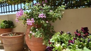 A variety of potted plants on a balcony with a metal fence in the background. - Olive Oil Residence (Hersonissos)