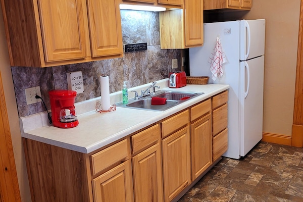 Frigorífic, microones, placa de cuina i cafetera i tetera