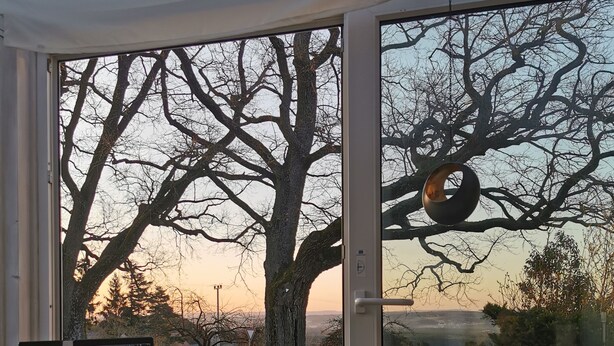 Una habitación con un ordenador portátil sobre una mesa, una silla verde con cojín y vistas a árboles y al atardecer a través de un ventanal.