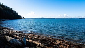 A coastal scene with a rocky shoreline and calm water. - West Seattle Driftwood Cottage - Firepit + Walk to Coffee & Restaurants (Seattle)