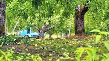 Overnatningsstedets område