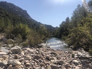Une rivière bordée de rochers et d’arbres.