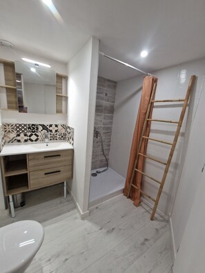 Shower, hair dryer, towels