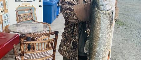 المنطقة المحيطة بالمنشأة