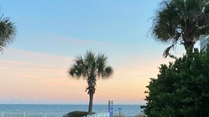 A coastal walkway with a white fence, palm trees, and a clear view of the sea. - 4 BR beach house 2 blocks from ocean in Cherry Grove! Dog friendly! (North Myrtle Beach)