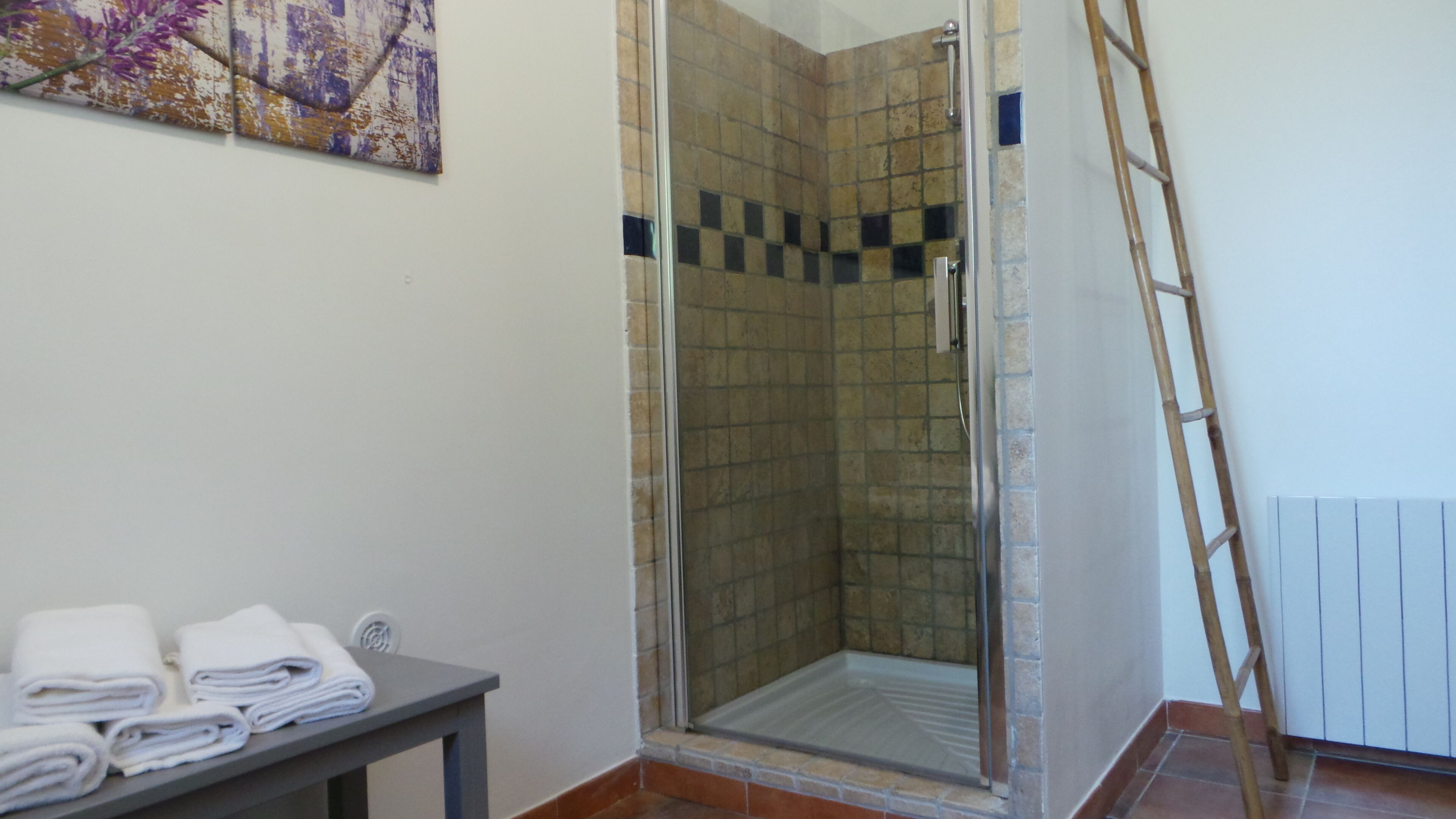 Un espace douche doté d’une porte en verre, d’un mur carrelé et d’une échelle en bois appuyée contre le mur.