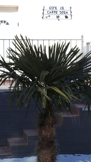 Exterior detail - Jolie Maison Avec Jardin et Piscine Privée (Sablet)