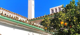 Hacienda Molino Blanco - Cortijo Completo y en Exclusiva