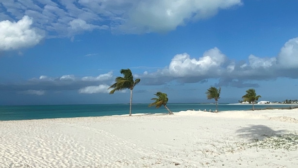 Una playa de arena blanca y palmeras, cielo azul despejado y mar tranquilo.