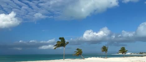 على الشاطئ، كراسي للتشمس، مناشف للشاطئ