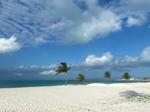 A beach with white sand and palm trees, a clear blue sky, and a calm sea.