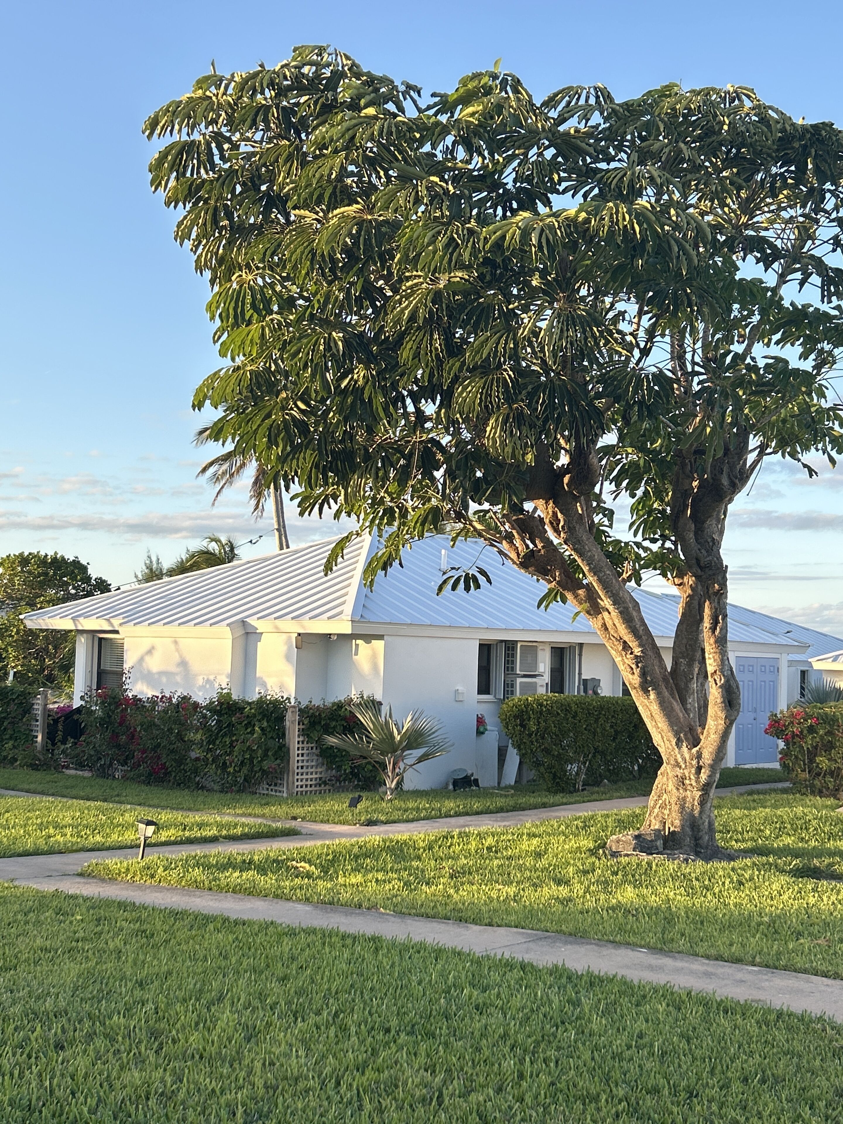 A house with a large tree in front, a well-maintained lawn, and a clear sky.