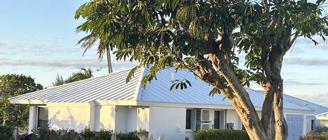 A house with a large tree in front, a well-maintained lawn, and a clear sky.