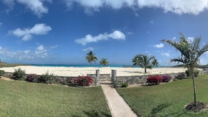 Un sendero que lleva a una playa con palmeras y un cielo despejado.