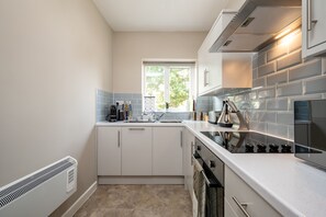 Luxury Apartment | Private kitchen | Full-size fridge, microwave, oven, stovetop