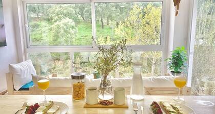 a Window to the Mountain