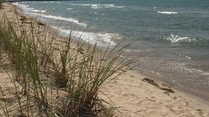 A beach with a large ship in the background. - Historic Downtown Manistee Apartment (Manistee)