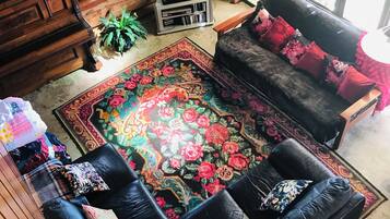 TV, fireplace, DVD player, books