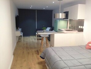 1 slaapkamer, een strijkplank/strijkijzer, internet