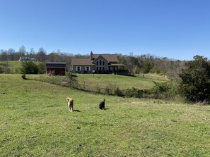 Áreas de la propiedad