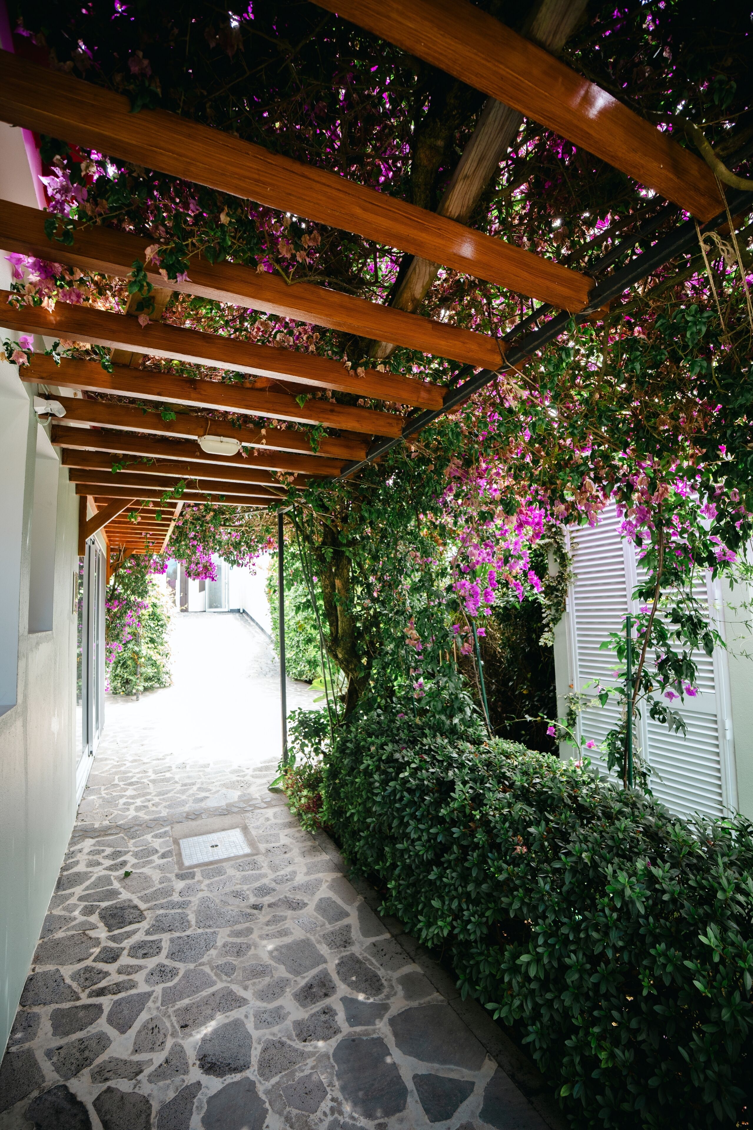 Overnattingsstedets uteområder