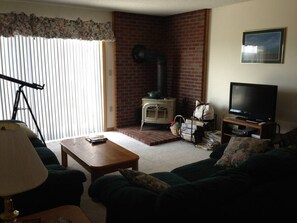 Smart TV, fireplace, DVD player, books