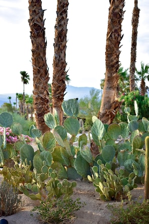 تفاصيل الفندق من الخارج