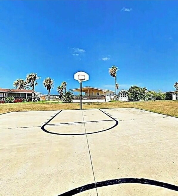 An outdoor basketball court with a hoop, surrounded by houses and palm trees.