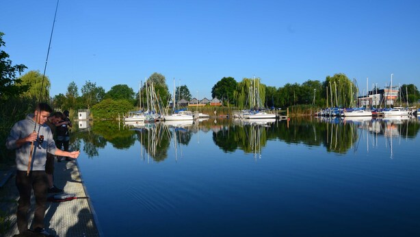 A calm water body with boats docked, a dock, and trees in the background. - Ferienwohnung Westphal (Eschwege)