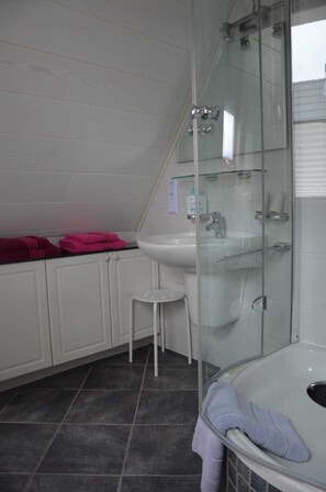 Shower, hair dryer, towels
