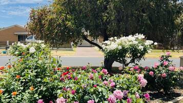 Detalle del exterior