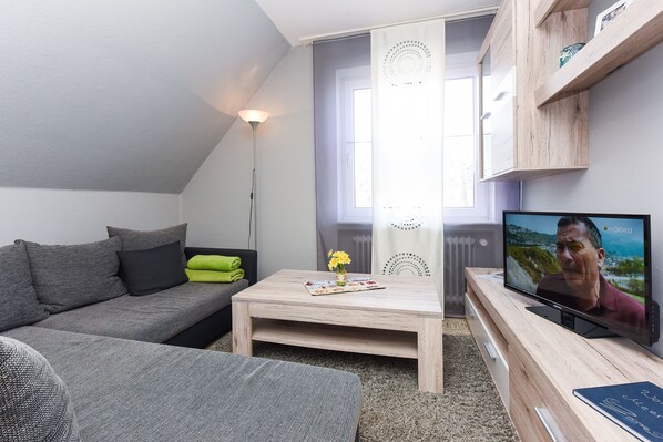 Fernseher