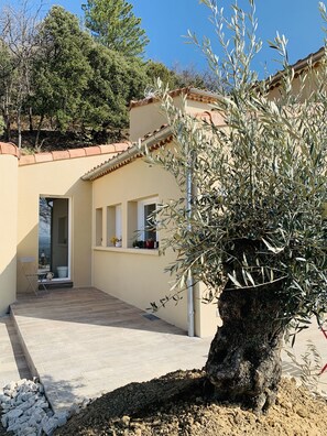 Une maison avec un patio carrelé, une porte donnant sur une pièce et un grand olivier au premier plan.