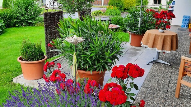 A garden with potted plants and flowers, a wooden bench, and a building with a sloped roof. - Ritter Anna - Haus Panorama - Ferienwohnung (Schoppernau)