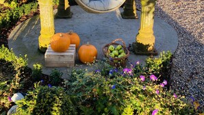 A garden with a hanging chair, pumpkins, and a basket of apples. - The Granary, 18th Century Luxuriously Restored Barn in the Heart of Tipperary (Thurles)