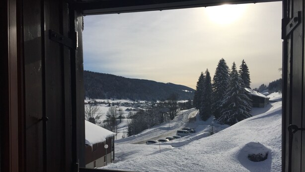 A snowy landscape with a view through a window, featuring a snow-covered ground, trees, and a distant village.
