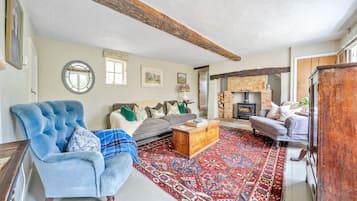 TV connectée, cheminée, livres