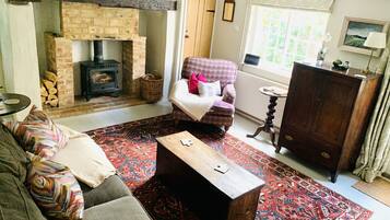 TV connectée, cheminée, livres