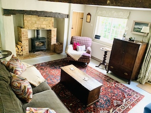 Smart TV, chimenea y libros