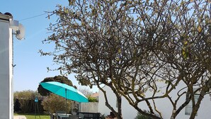 Un patio con un pequeño árbol, una sombrilla azul y dos sillas de jardín verdes.