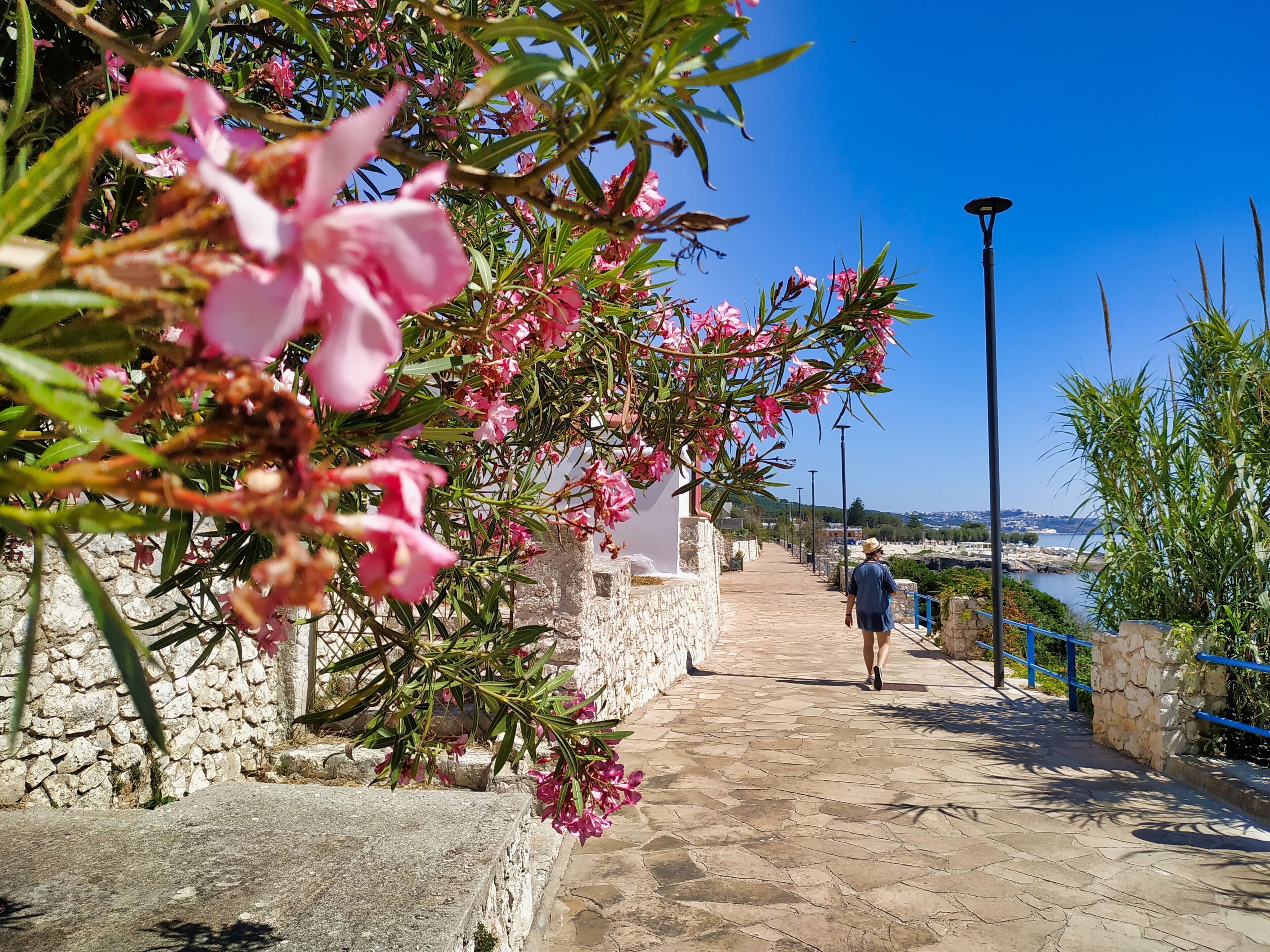 Un sentiero in pietra con fiori rosa e una persona che si allontana.