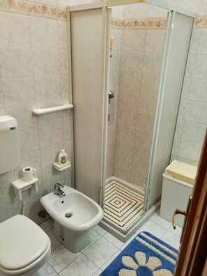 Shower, hair dryer, bidet, towels