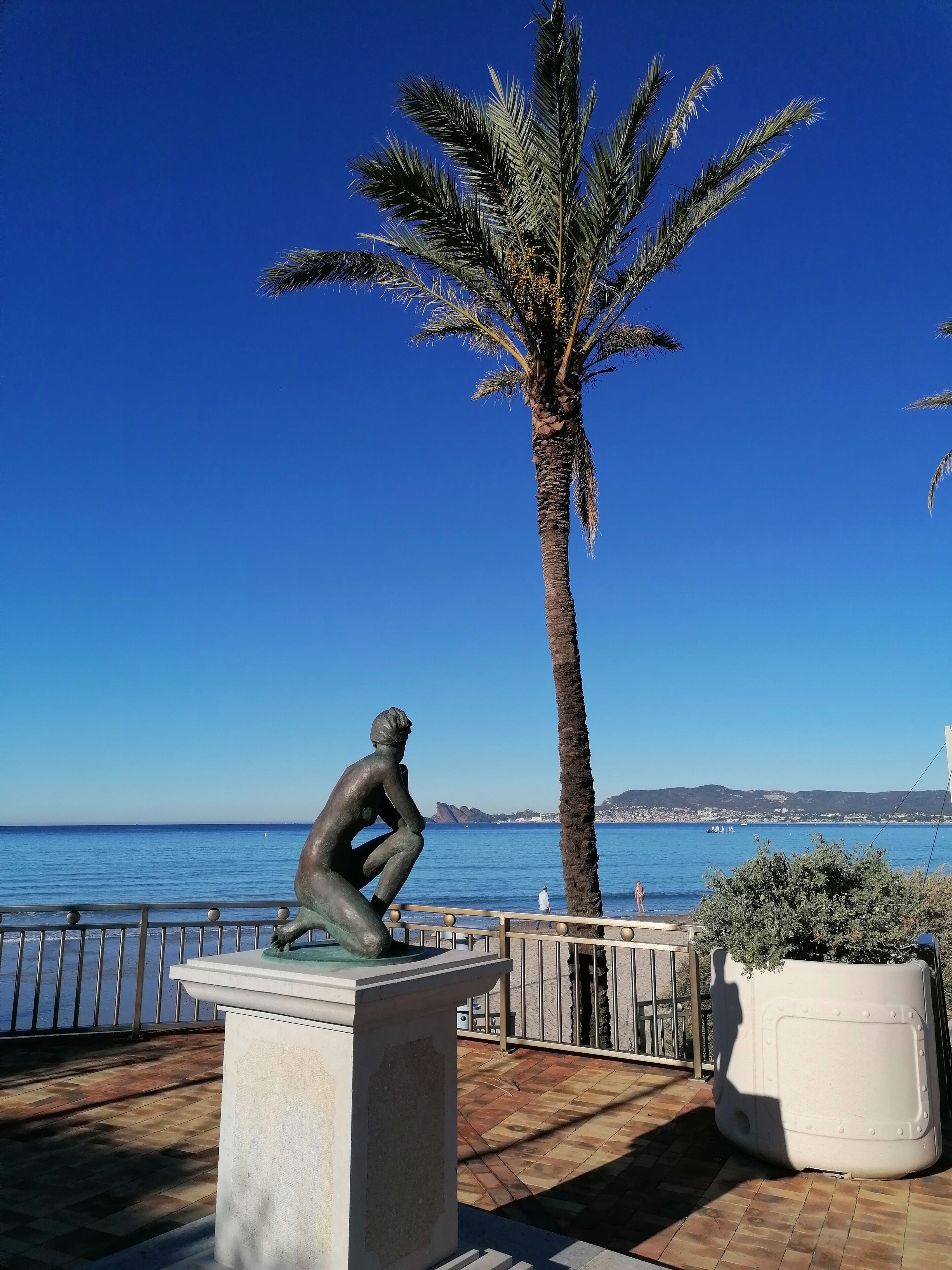 A statue of a man on a pedestal by the seaside, with a palm tree and a large planter nearby.