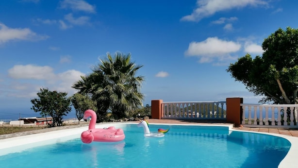 Ein Swimmingpool mit einem rosa Flamingo-Schwimmpfiff und einem Regenbogen-Schwimmpfiff, umgeben von Palmen und einem weißen Zaun.