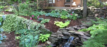 Backyard Rugged Cabin