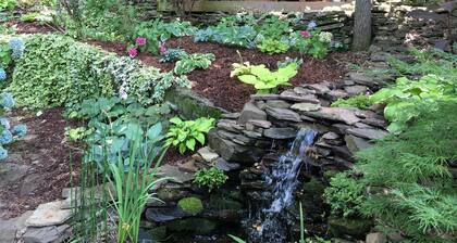 Backyard Rugged Cabin