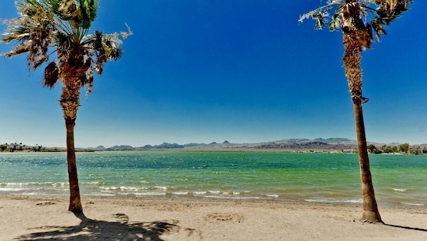 Een strand met twee palmbomen en een helderblauwe lucht.