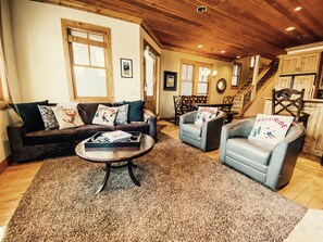 TV, fireplace, books