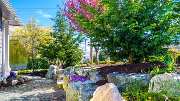 Un jardín ajardinado con rocas grandes, diversas plantas y un árbol con flores rosadas.