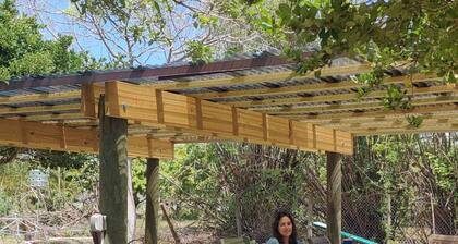 100 year old Redland country home